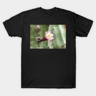 Cactus flower T-Shirt